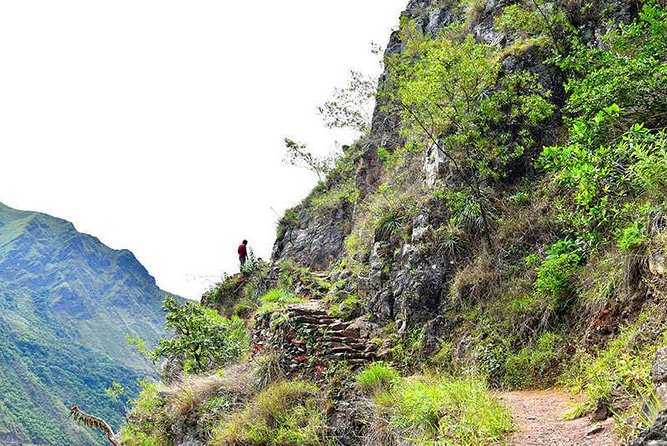 07 Day: Inca Jungle Adventure with Mountain Bike, Rafting, Zipline & Trek - Day 3: A Three-Hour Bike Descent From Malaga Pass