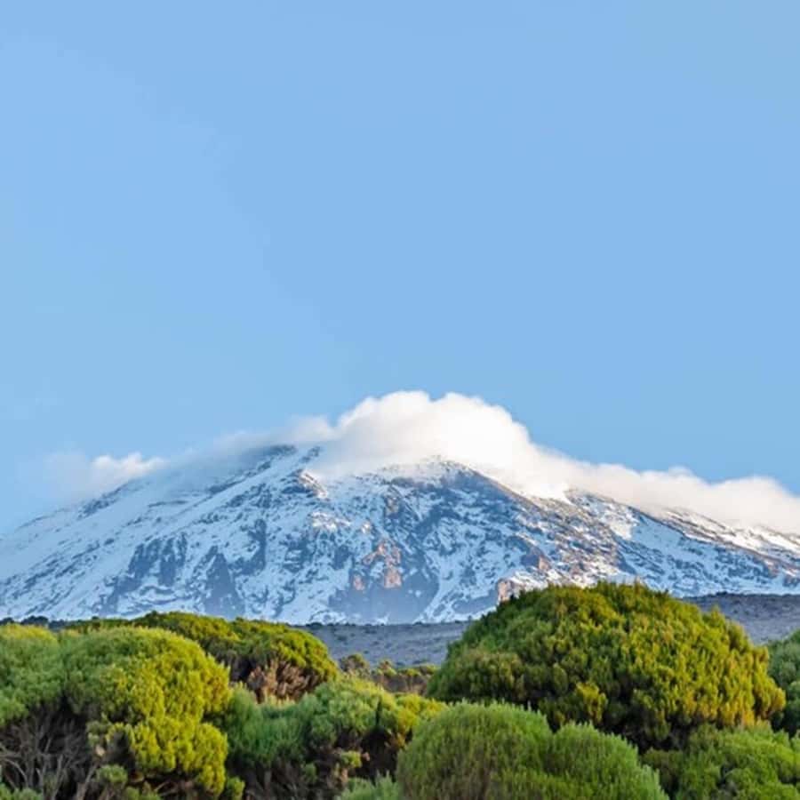 #1. Best Kilimanjaro Day hike Tour-Machame Route-ISMANI - Key points to know before booking