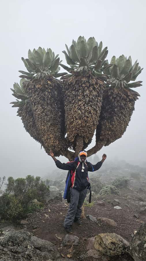#1. Best Kilimanjaro Day hike Tour-Machame Route-ISMANI - Is $115 good value?