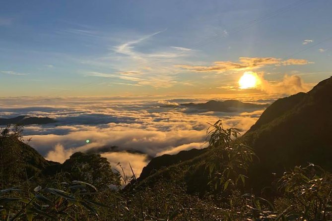 1 day Fansipan Trekking - The final push to Fansipan summit