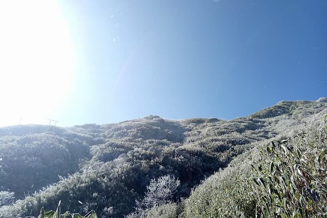1 day Fansipan Trekking - Forest walking, streams, and the first climb