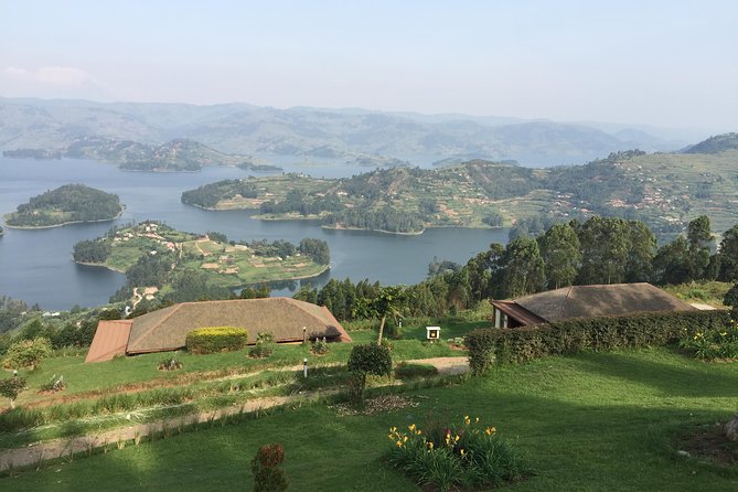 1 Day Gorilla Trekking Mgahinga Gorilla NP & Lake Bunyonyi - Meeting the gorilla family