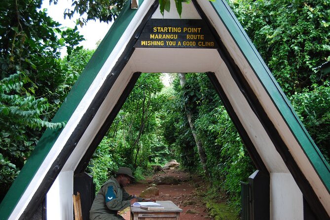 1 Day: Hiking Majestic Kilimanjaro - Fitness, Pace, and Who Should Book