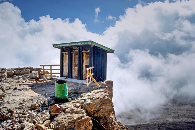 1 Day: Hiking Majestic Kilimanjaro - Walking the Lower Marangu Route Through Rainforest