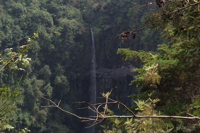 1 Day Kilimanjaro forest (mambori waterfalls). - Reaching Mambori Waterfall from Arusha or Moshi