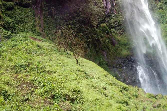 1 Day Kilimanjaro forest (mambori waterfalls). - Lunch, snacks, and the shape of an eight-hour day