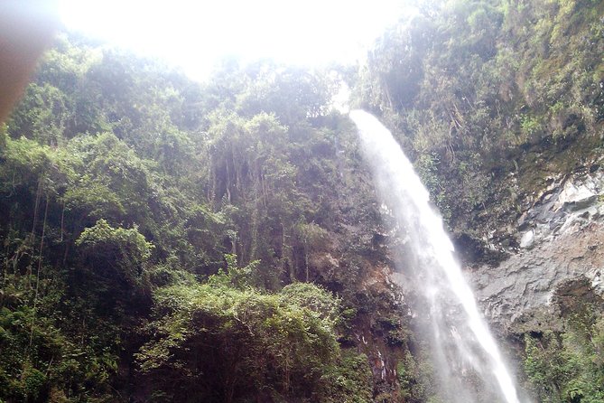 1 Day Kilimanjaro forest (mambori waterfalls). - Why the private format changes the experience
