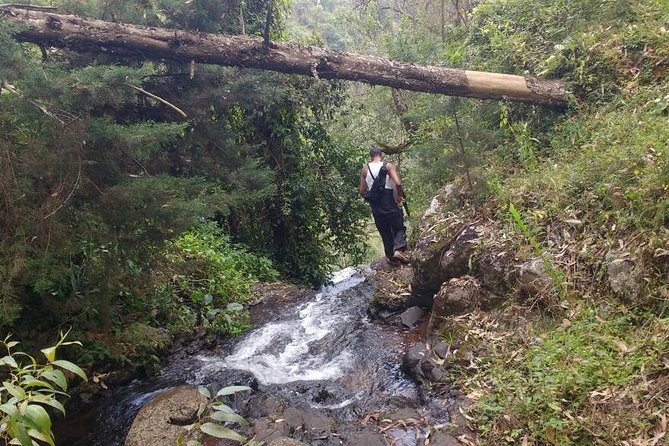 1 Day Kilimanjaro forest (mambori waterfalls). - Who should book this Kilimanjaro forest day?