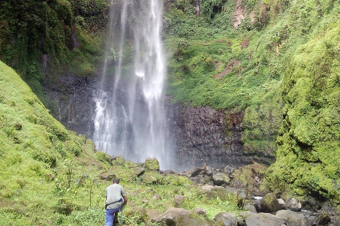 1 Day Kilimanjaro forest (mambori waterfalls). - The story of Chief Meli on the trail