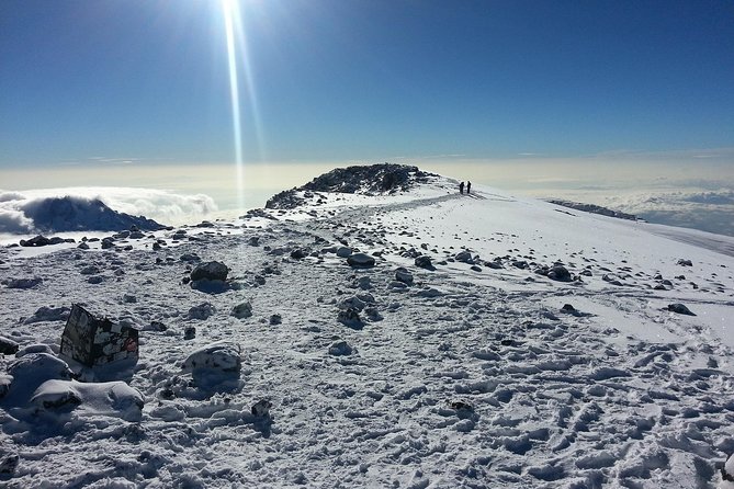1 Day Kilimanjaro Hiking - Machame Route - The Southern Circuit and the Southern Ice Field