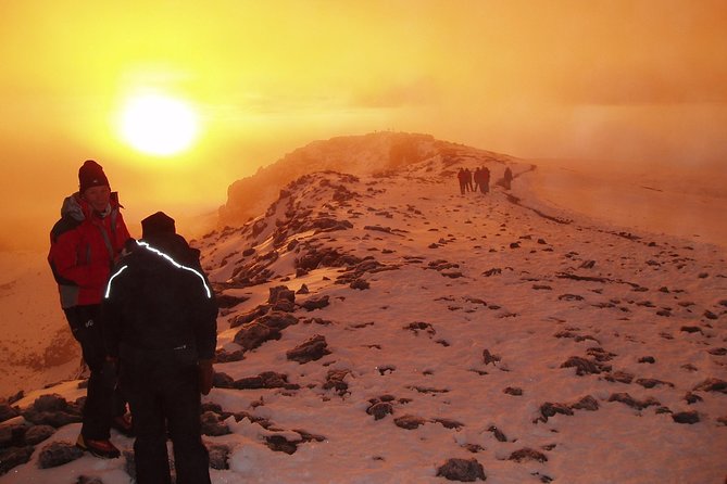 1 Day Kilimanjaro Hiking - Machame Route - Barafu, the summit wording, and the return by Mweka