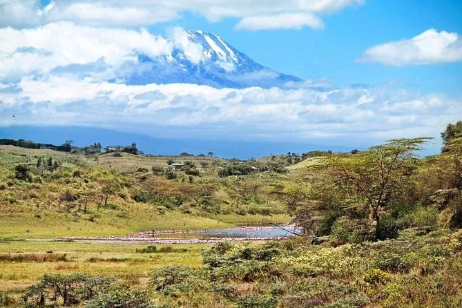 1 Day Kilimanjaro Hiking - Machame Route - A note on the 4.3 rating and the rough customer experience