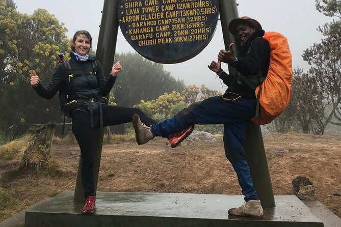 1 Day Kilimanjaro Hiking - Machame Route - Reaching the Shira Plateau