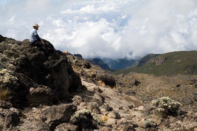 1 Day Marangu Route Climbing Kilimanjaro - Key points to know before you book