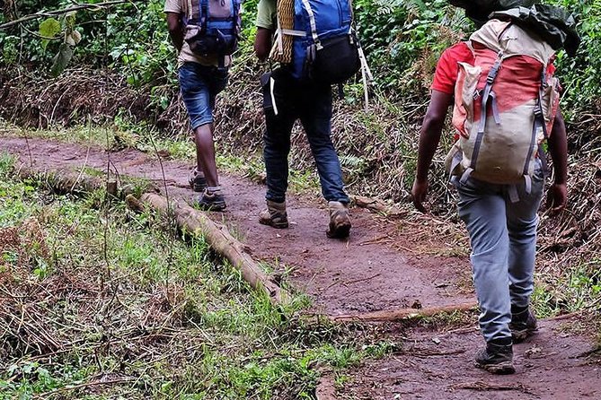 1 Day Marangu Route Climbing Kilimanjaro - Leaving Arusha in a private 4x4