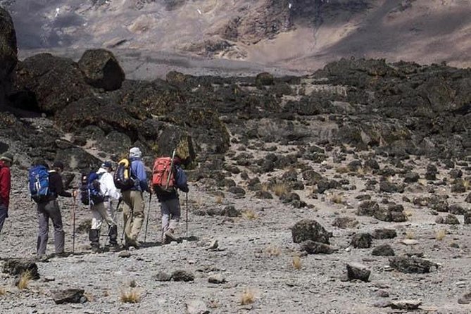 1 Day Marangu Route Climbing Kilimanjaro - Through the lower forest to Mandara Hut