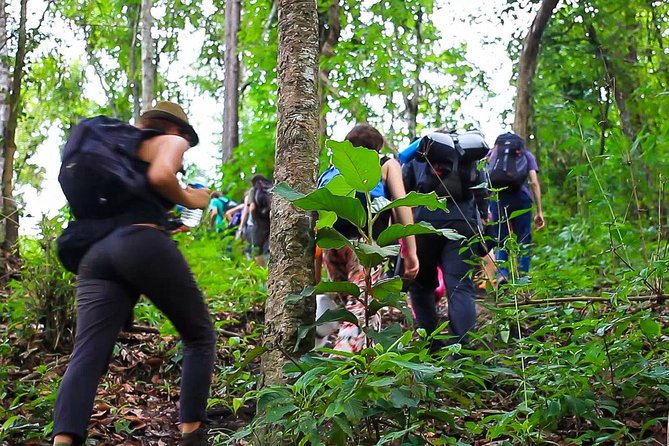 1 day private eco-trekking at Mae Sa Pok - Key Points About the Mae Sa Pok Trek