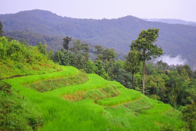 1 day private eco-trekking at Mae Sa Pok - Meeting the White Karen Community at Mae Sa Pok