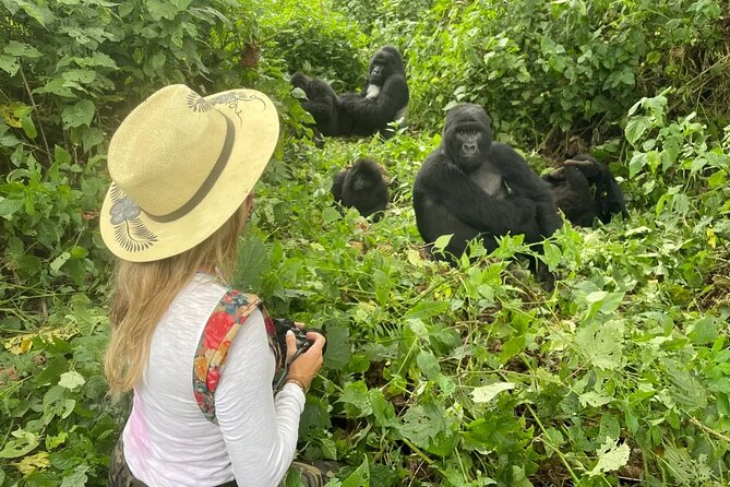 1 Day Rwanda Gorilla Trekking Tour In The Volcanoes National Park - Walking through bamboo and mountain country