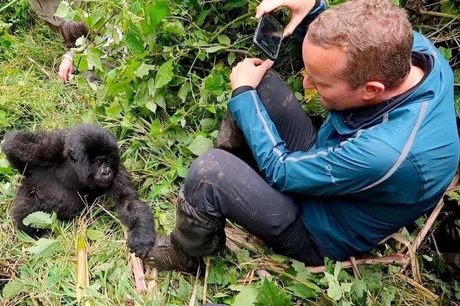 1 Day Rwanda Gorilla Trekking Tour In The Volcanoes National Park - Leaving Kigali at 4:30 am