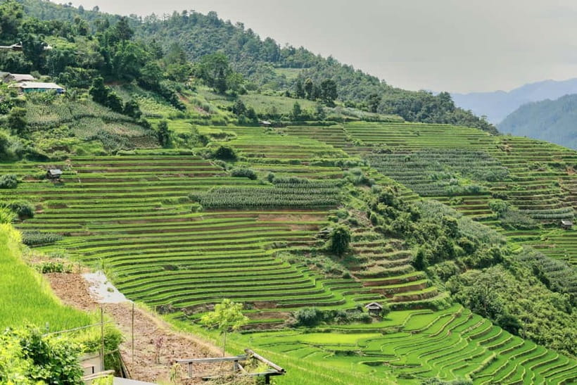 1-Day Sapa Long Trek - Rice Field Terrace, Ethnic Culture - Lao Chai Sang and the family lunch