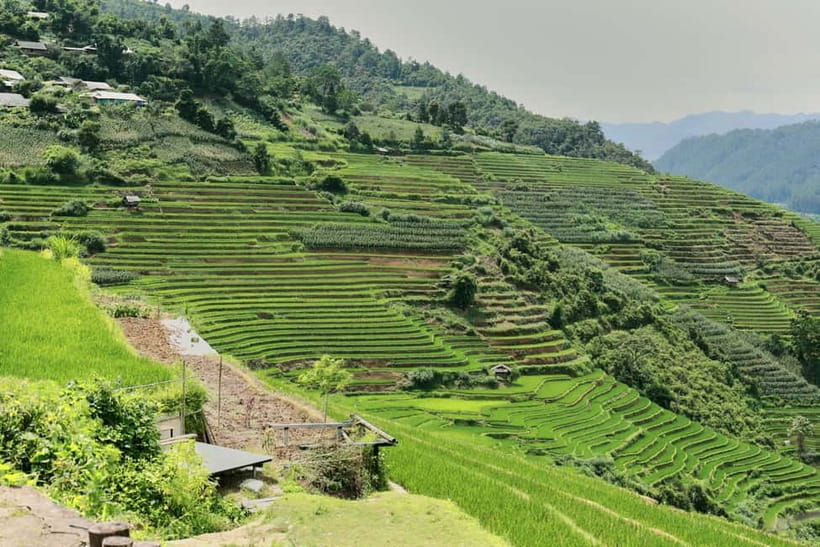 1-Day Sapa Long Trek - Rice Field Terrace, Ethnic Culture - Hmong clothing, indigo, and traditional craft