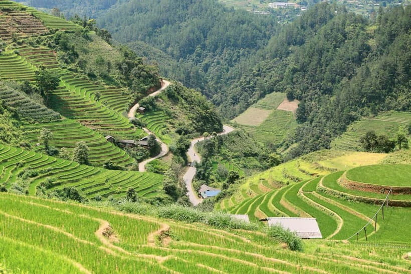 1-Day Sapa Long Trek - Rice Field Terrace, Ethnic Culture - The guides are the heart of the day