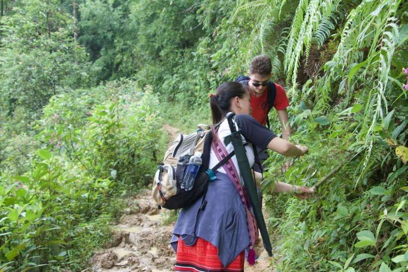 1 Day Sapa Trek&Home-cooked Lunch HmongSisterHouse&Trekking - Key points at a glance