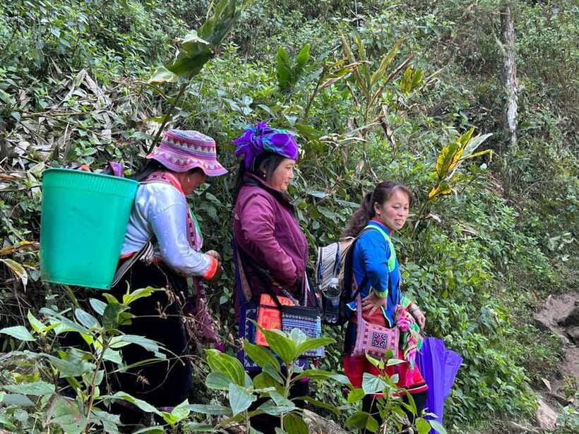 1 Day Sapa Trek&Home-cooked Lunch HmongSisterHouse&Trekking - Who should book this Sapa walk?