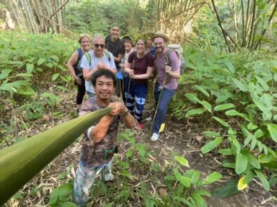 1 Day trekking : Chiang Rai popular activity,Fun in Nature.