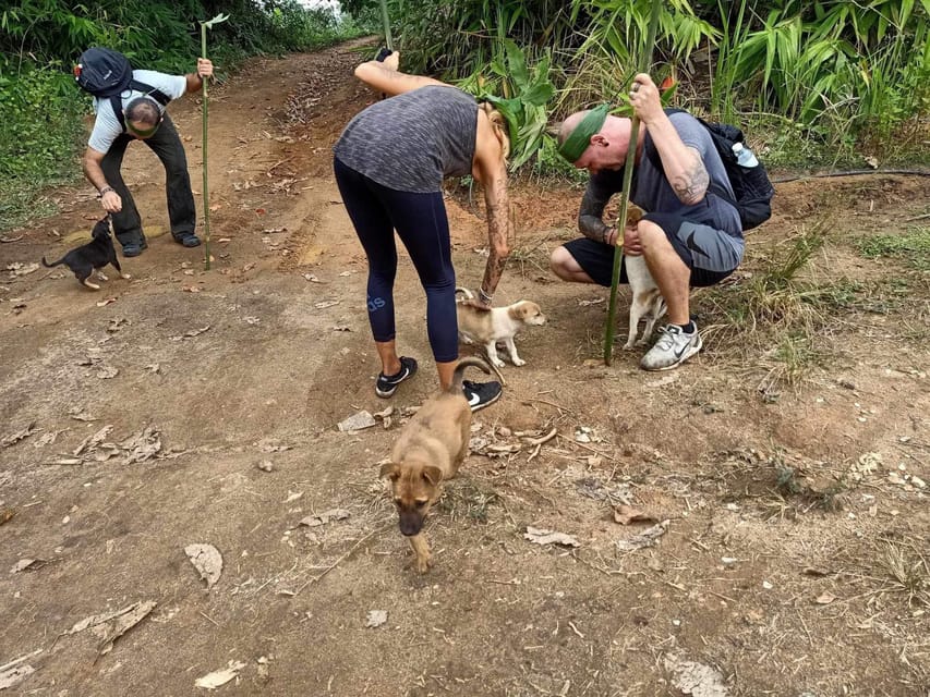 1 Day trekking : Chiang Rai popular activity,Fun in Nature. - Akha village, farm country, and broad views
