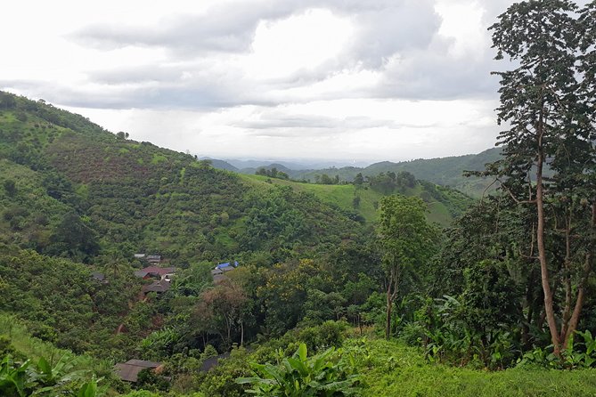 1 Day Trekking Group Tour With Bamboo Cooking / Chiang Rai - Why the bamboo lunch makes this trek different