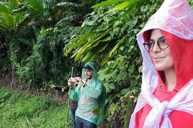 1 Day Trekking Group Tour With Bamboo Cooking / Chiang Rai - What the guides add to the experience