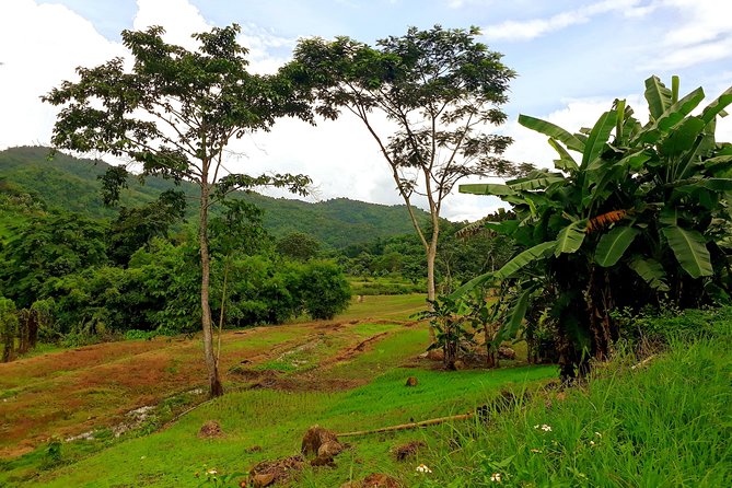 1 Day Trekking Group Tour With Bamboo Cooking / Chiang Rai - Who should book this Chiang Rai trek?
