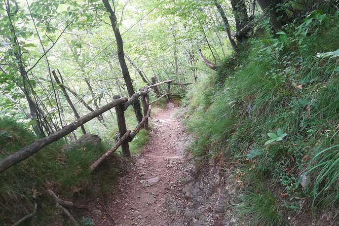 1 Day Trekking - Il Sentiero del Viandante: BELLANO. VARENNA - Booking, weather, and cancellation advice