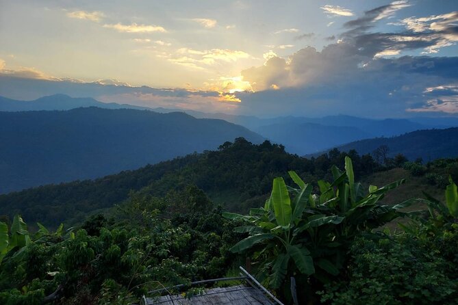 1 Day Trekking in Chiang Mai - A quieter side of Chiang Mai’s mountains