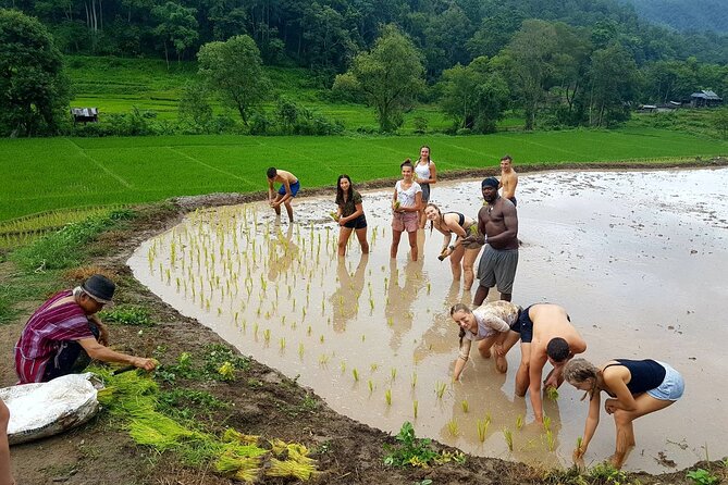 1 Day Trekking in Chiang Mai - Why private touring changes the day