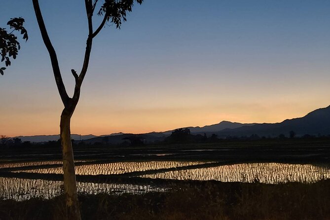 1 Day Trekking in Chiang Mai - Who will enjoy this trek most