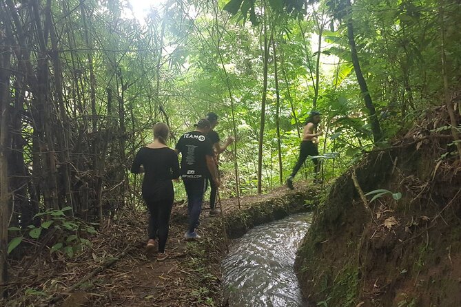 1 Day Trekking in Chiang Mai - Walking through the mountain area