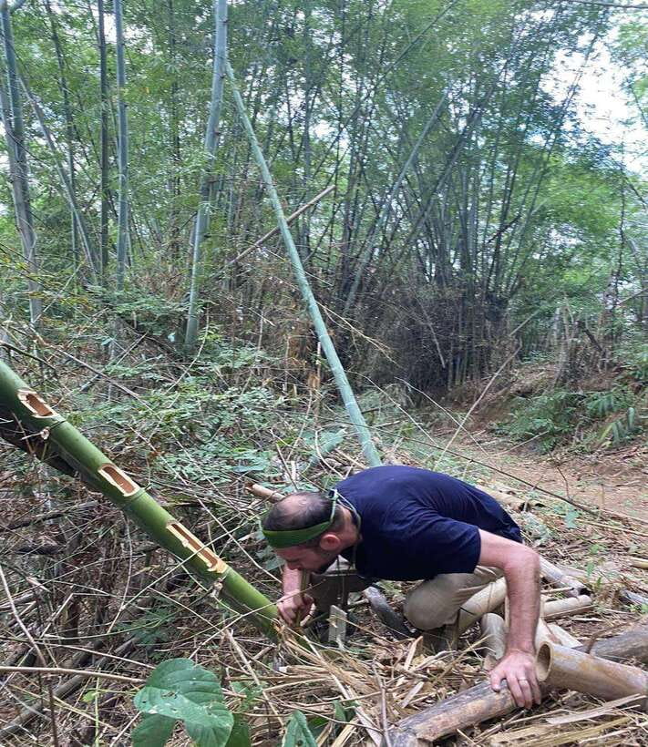 1 Day Trekking in Chiang Rai forest (walk only) - Huai Kaew Waterfall and time in the water