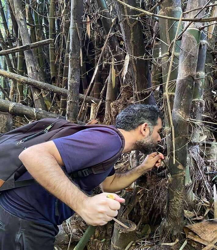 1 Day Trekking in Chiang Rai forest (walk only) - What the $57 price gives you