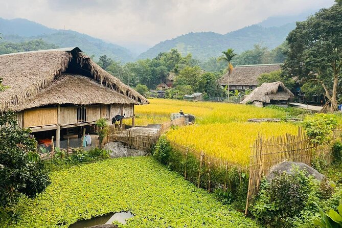 1 Day Trekking Tour in Ha Giang with Local Experts - A clear waterfall beneath the village hills