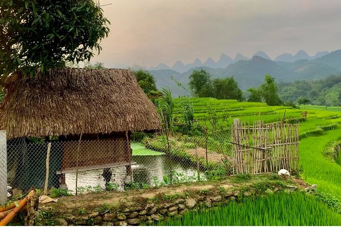 1 Day Trekking Tour in Ha Giang with Local Experts - The longer afternoon route through Lung Vai and Khuoi My