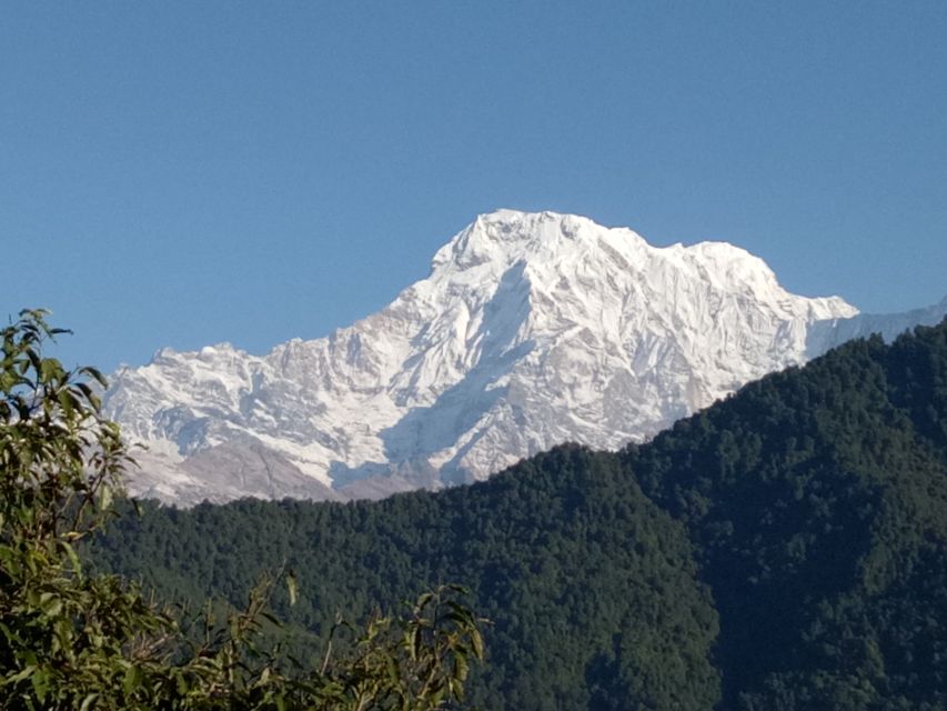 1 N 2 Days easy Dhampus,Australian camp trek from Pokhara - Guides who shape the experience