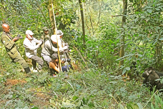 10 Days Affordable Gorilla Trekking Holiday - Day 5: Game drives and the Kazinga Channel