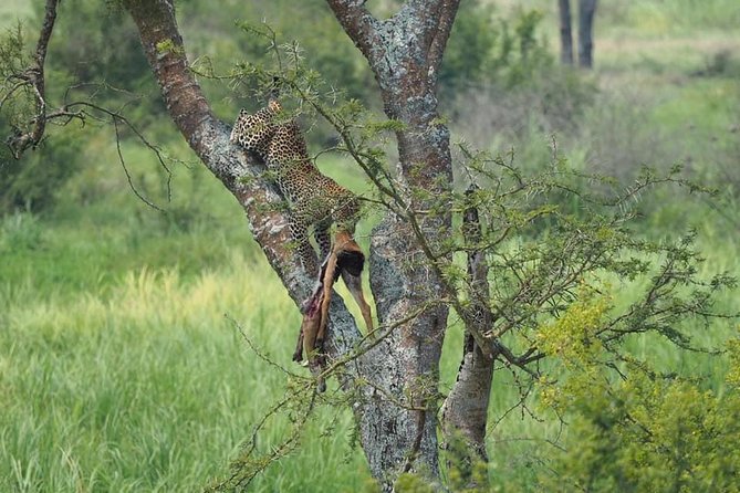 10 Days Affordable Gorilla Trekking Holiday - Day 2: The long road to Kibale Forest
