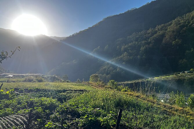10 days Annapurna Base Camp Trek - Day 7: Down through the rhododendrons to Jhinu Danda