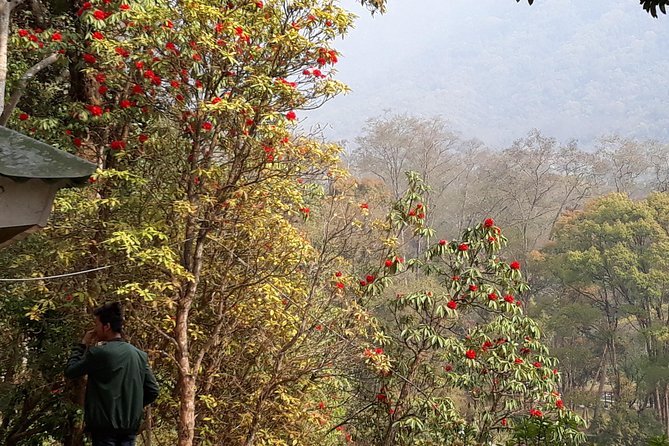 10 days Annapurna Base Camp Trek - Day 8: Nayapul and a hot shower in Pokhara