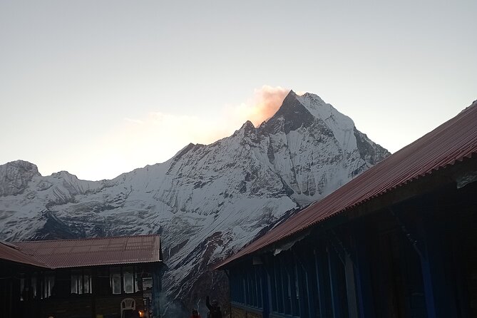 10 Days Annapurna Base Camp Trekking - Day 4: Chhomrong to Deurali through forest