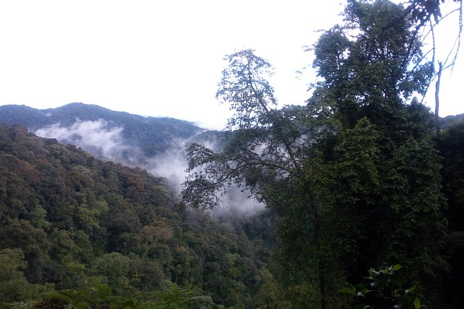 10 Days Uganda Gorilla & Chimpanzee Trekking Safari - Day 3: Murchison game drive and Nile boat trip